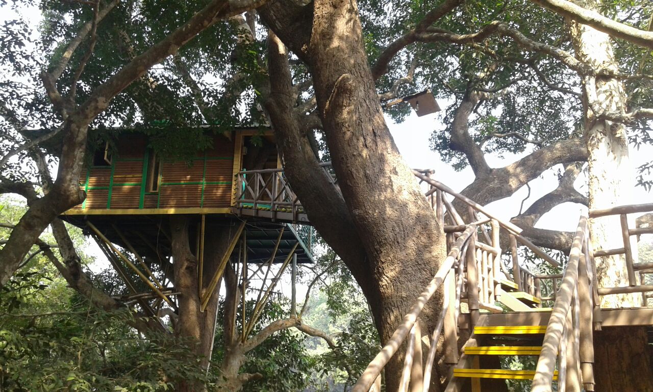 Riverside Tree House - KaliTide Adventures Dandeli