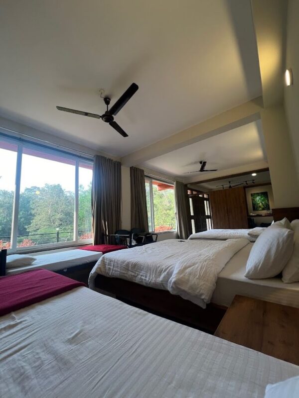 Deluxe Dormitory Cottage - Image 2